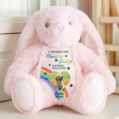 Custom Photo Memorial I Crossed Rainbow Bridge- Plush Stuffed Bunny Rabbit - Pet Loss