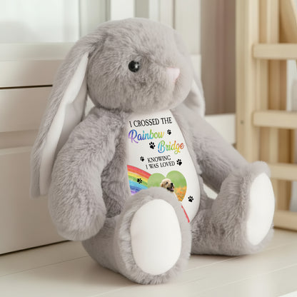 Custom Photo Memorial I Crossed Rainbow Bridge- Plush Stuffed Bunny Rabbit - Pet Loss